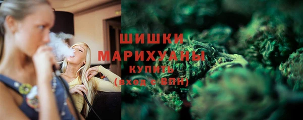 дурь Гусев
