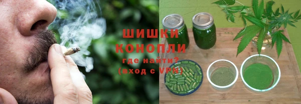 мяу мяу мука Гусь-Хрустальный