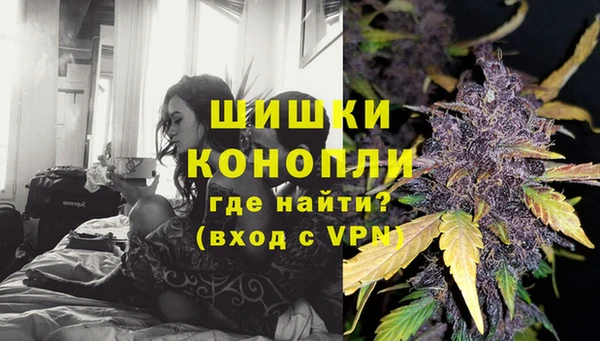 дурь Гусев