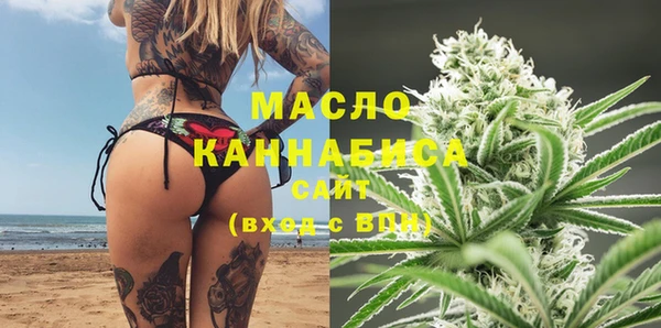 дурь Гусев