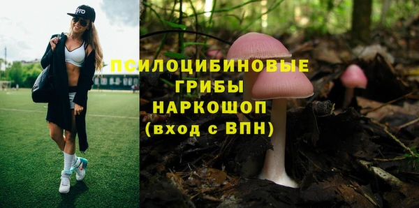 эйфоретик Гусиноозёрск
