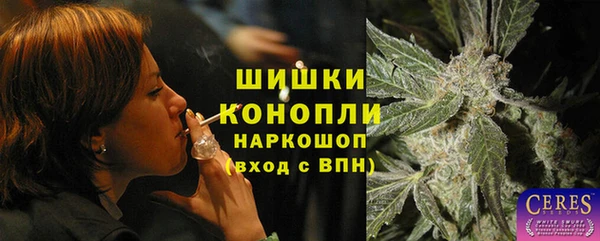 дурь Гусев