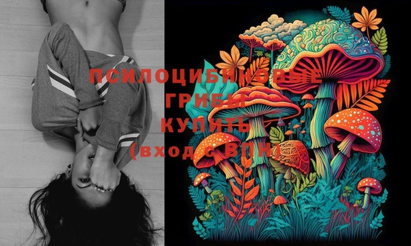 мяу мяу мука Гусь-Хрустальный