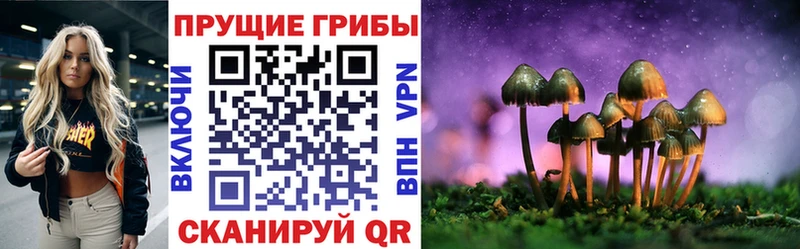 Купить закладки  Реж  Галлюциногенные грибы MAGIC MUSHROOMS 